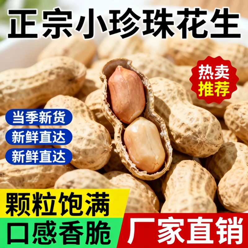 原味柴火炒带壳小珍珠花生精选休闲零食下酒菜