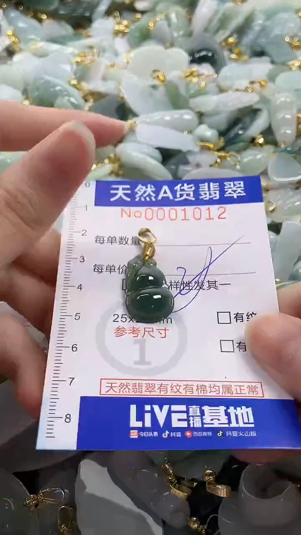 颈饰未镶嵌翡翠纯天然a货翡翠