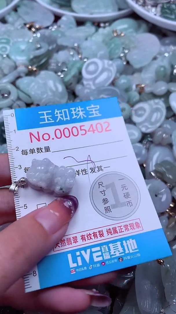翡翠未镶嵌吊坠(不含链)5402