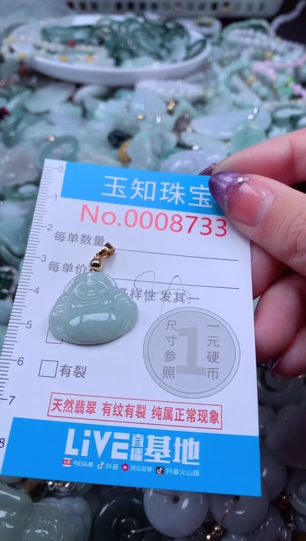 翡翠未镶嵌吊坠(不含链)8733