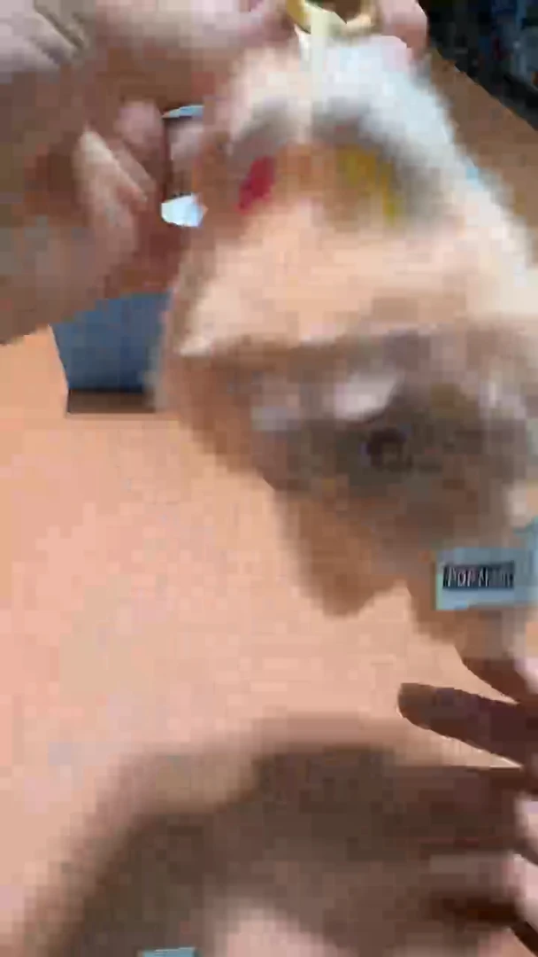 瓷片品牌 包包香水手表护肤品@@1