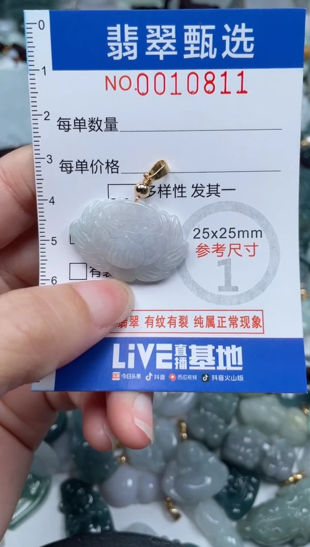 颈饰未镶嵌翡翠10811