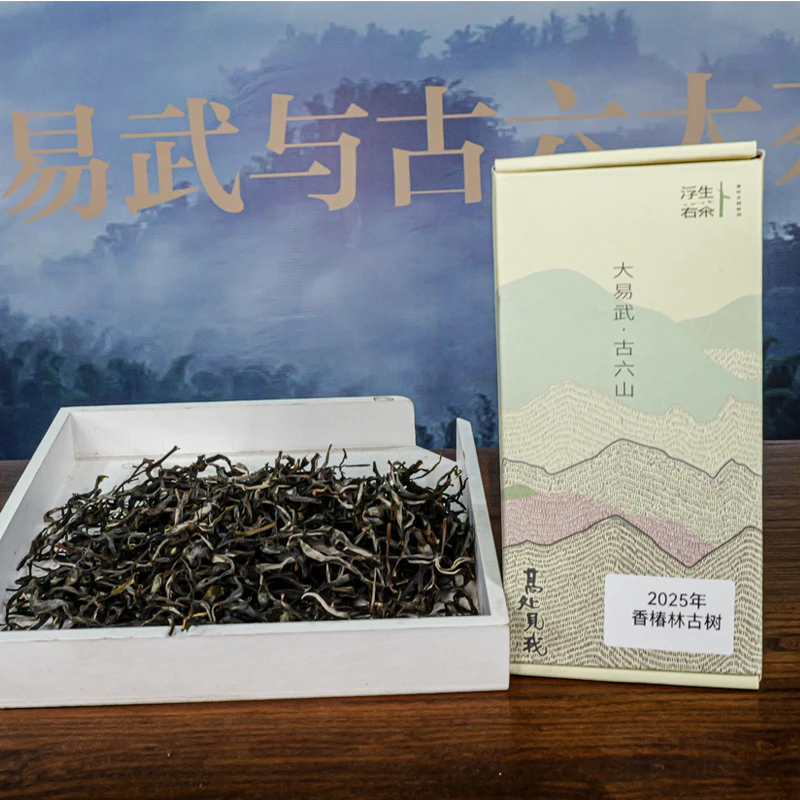2025年易武香椿林挑采古树散茶【春】100g【带1泡茶样】