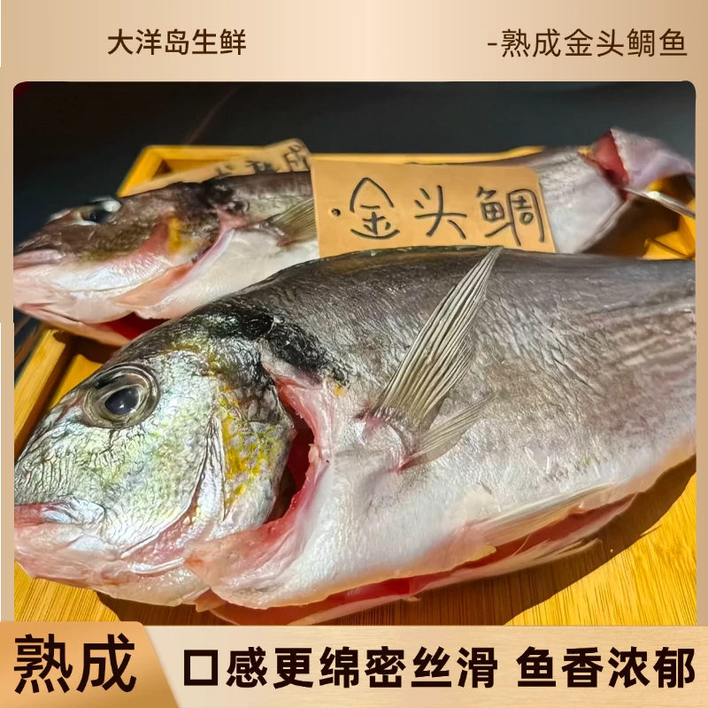 【熟成金头鲷鱼-刺身级别】奶甜脆鲷鱼片鱼生刺身食材