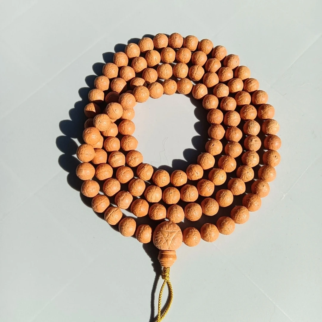 11.5mm+素108脖挂 尼泊尔凤眼菩提25年新籽