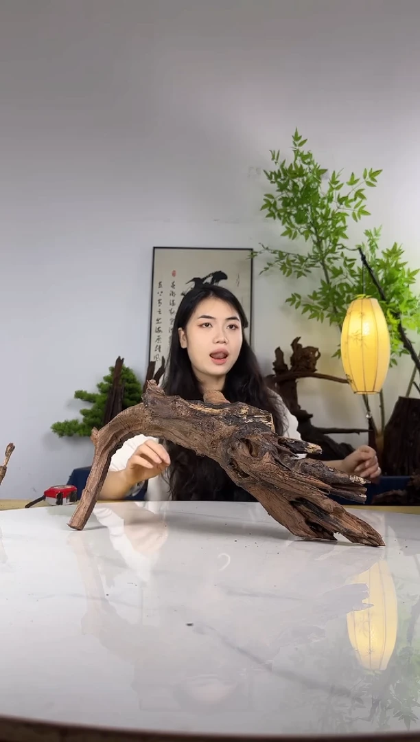 小***鱼拍这个定向编号20