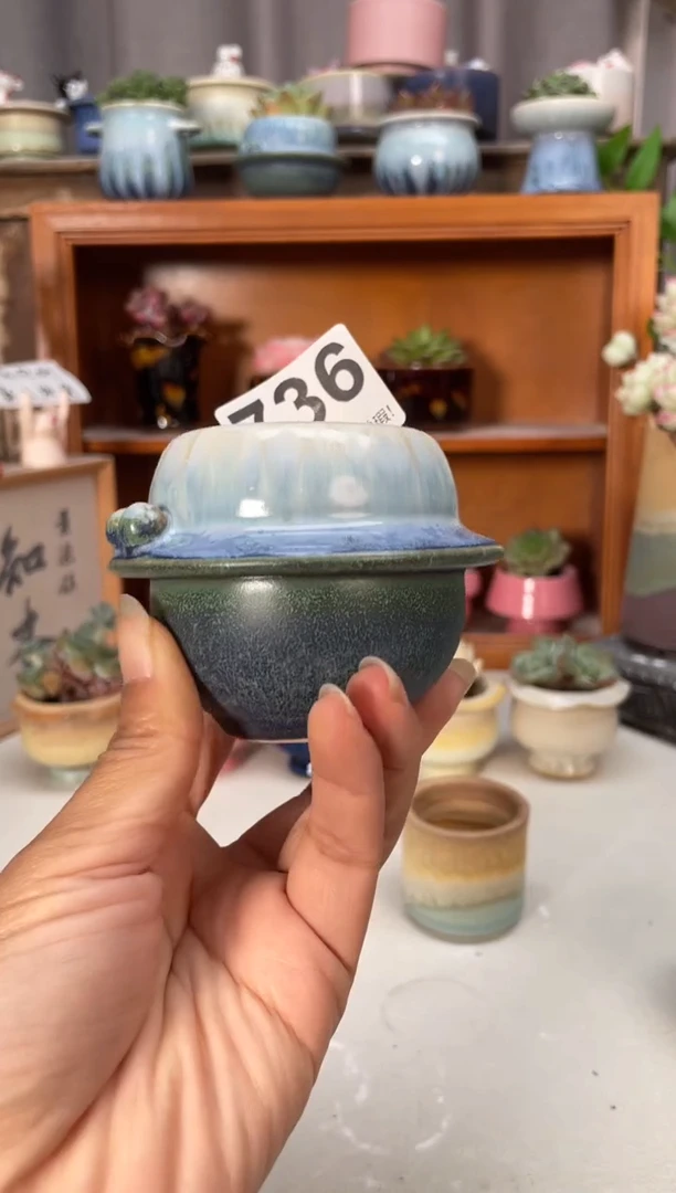 瓷片736小芳直播编号