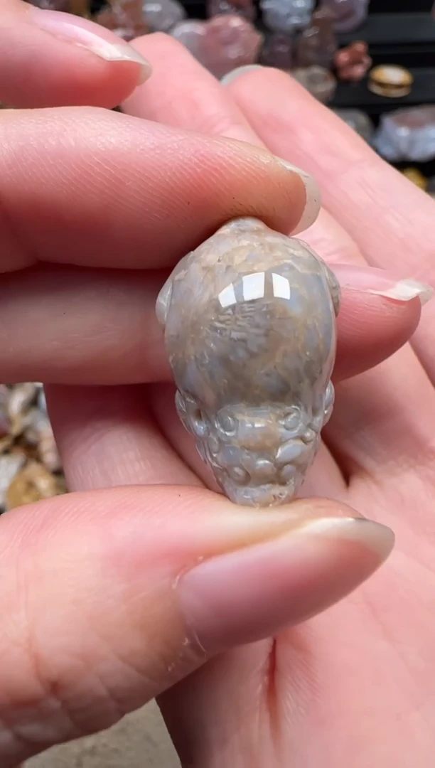 颈饰未镶嵌硅化珊瑚（珊瑚玉）331