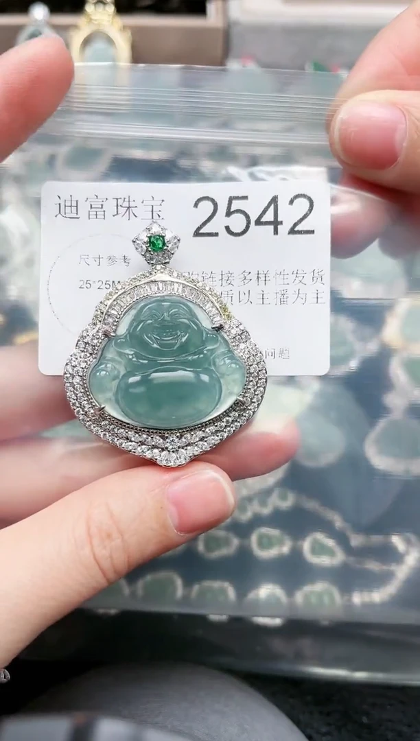 【闪购商品】翡翠颈饰未镶嵌2542赠皮绳