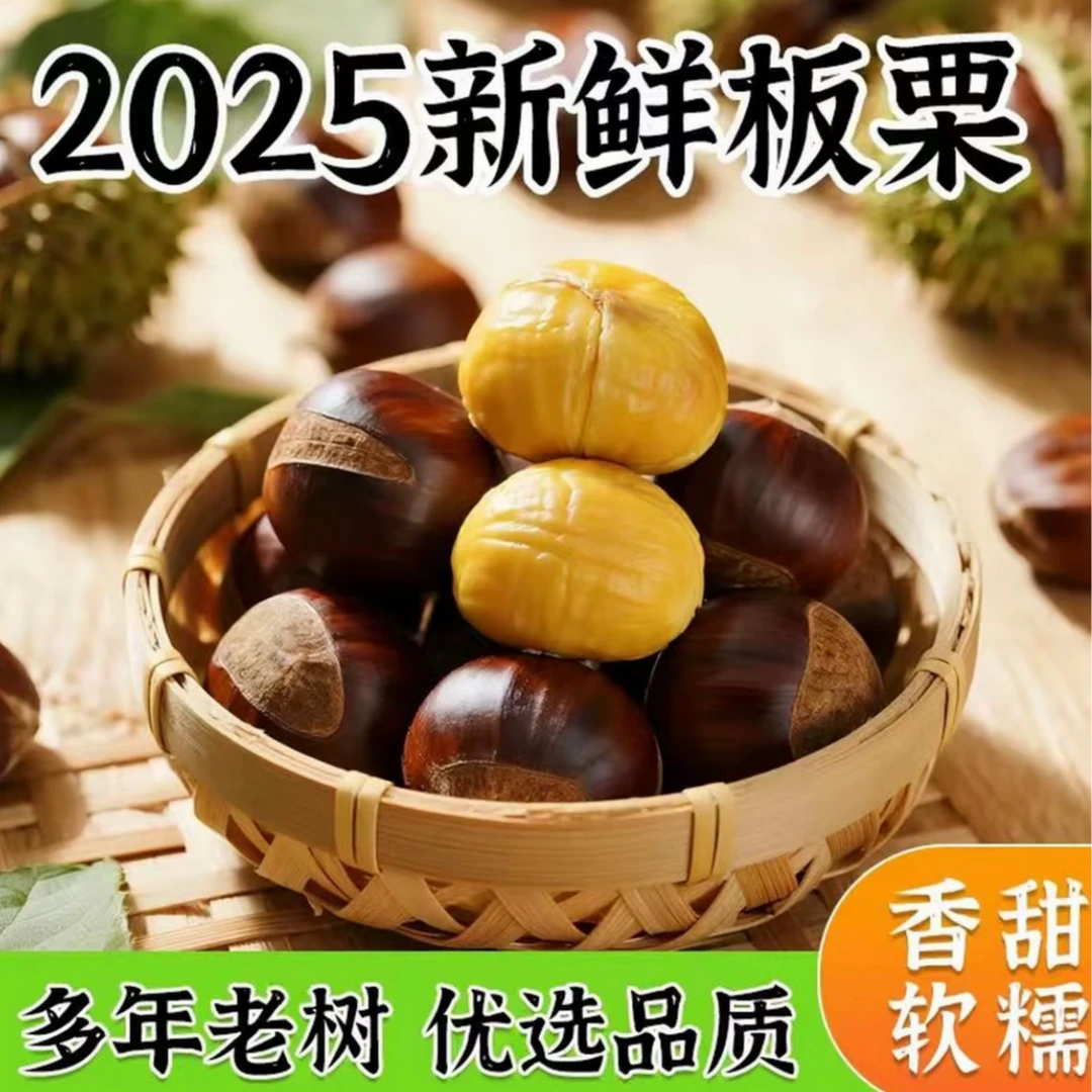 【2025年现摘】优质板栗好剥皮【老品种】助农专属