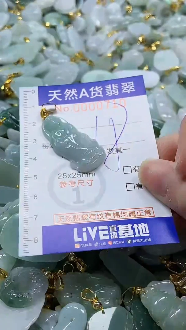 颈饰未镶嵌翡翠纯天然a货翡翠