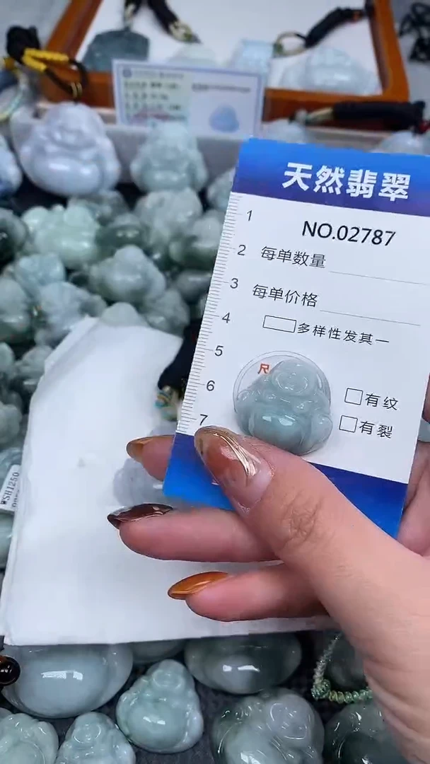 颈饰未镶嵌翡翠纯天然A货翡翠2787
