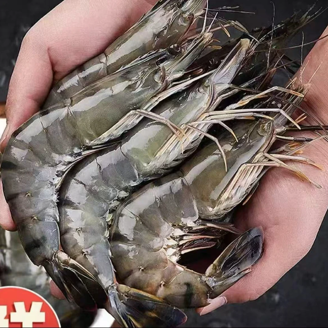 【金泰】精品特大号黑虎虾3斤/盒 活虾速冻 10-13只左右/斤