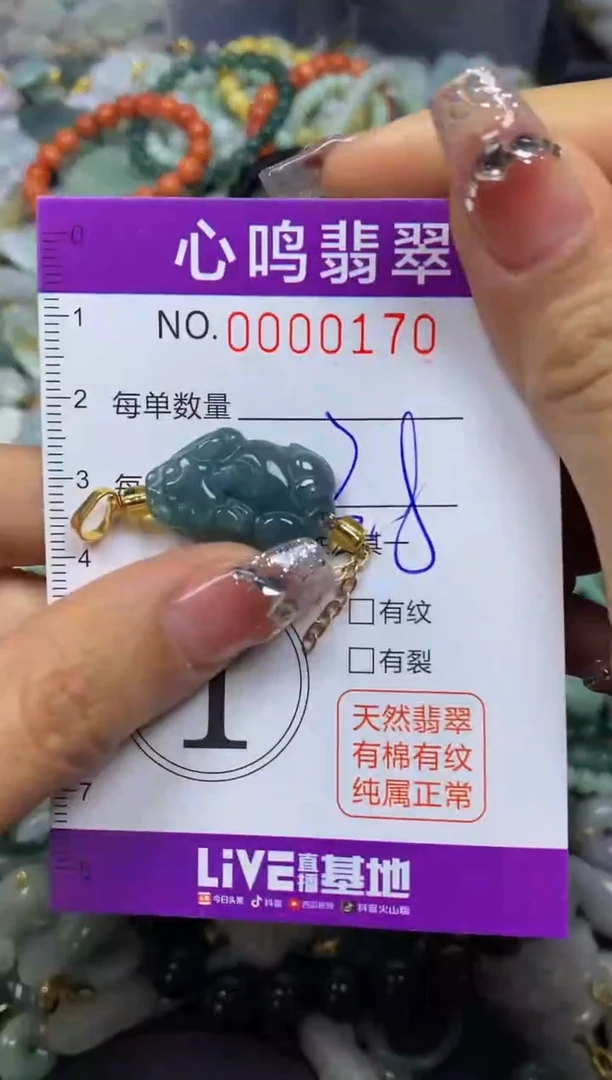 【闪购商品】翡翠颈饰未镶嵌闪购00170