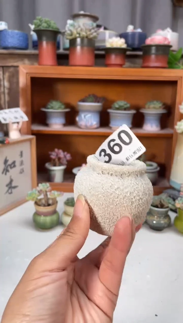 瓷片360知木小芳花盆