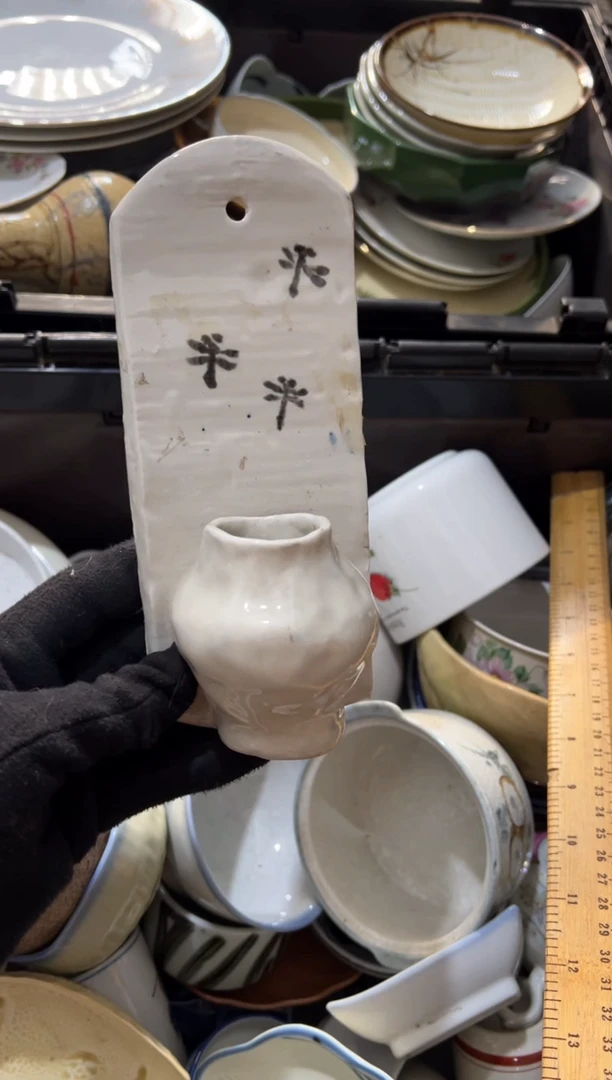 多**家多肉中古商品默认瑕疵完美主义慎拍