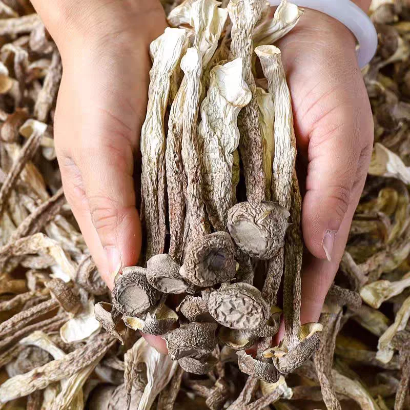 特级干货菌菇鹿茸菇香菇煲汤炖汤