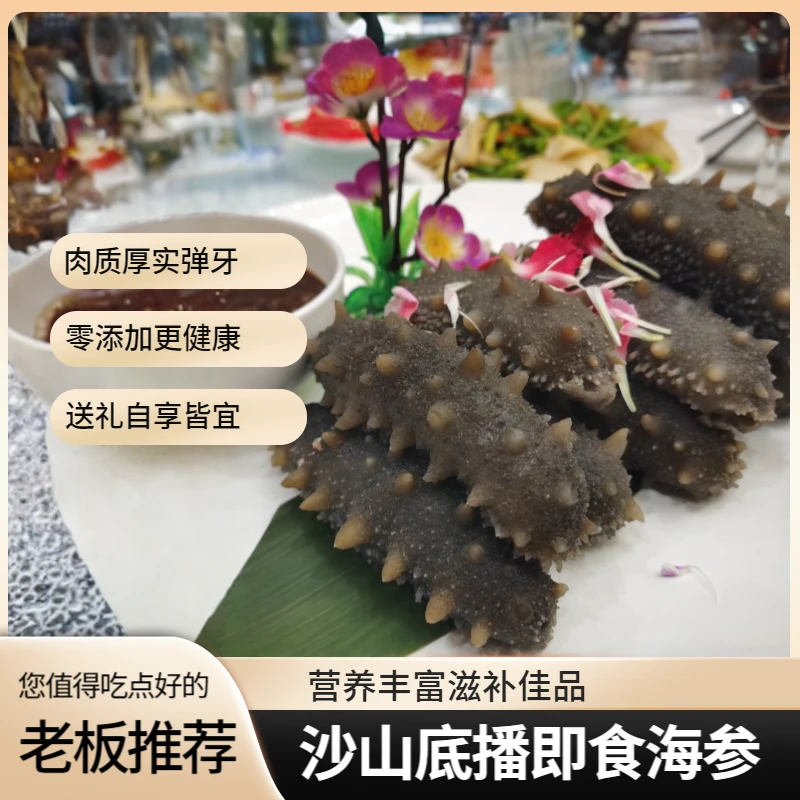 福匠来了正宗大连沙山底播即食海参肉厚刺壮顺丰包邮大连发货