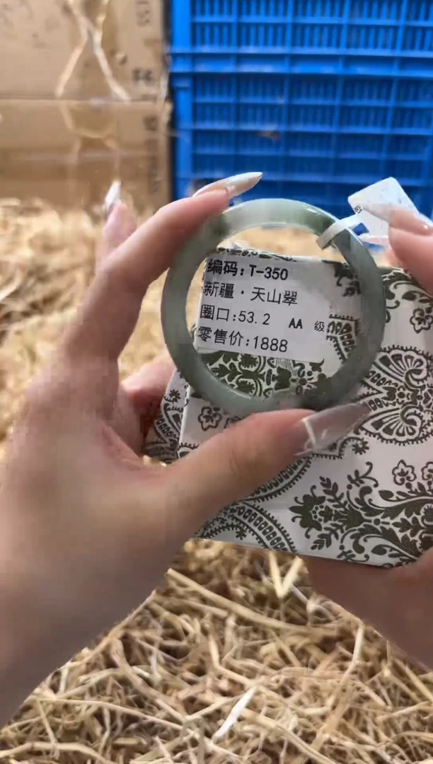 未镶嵌手镯石英质玉T-350