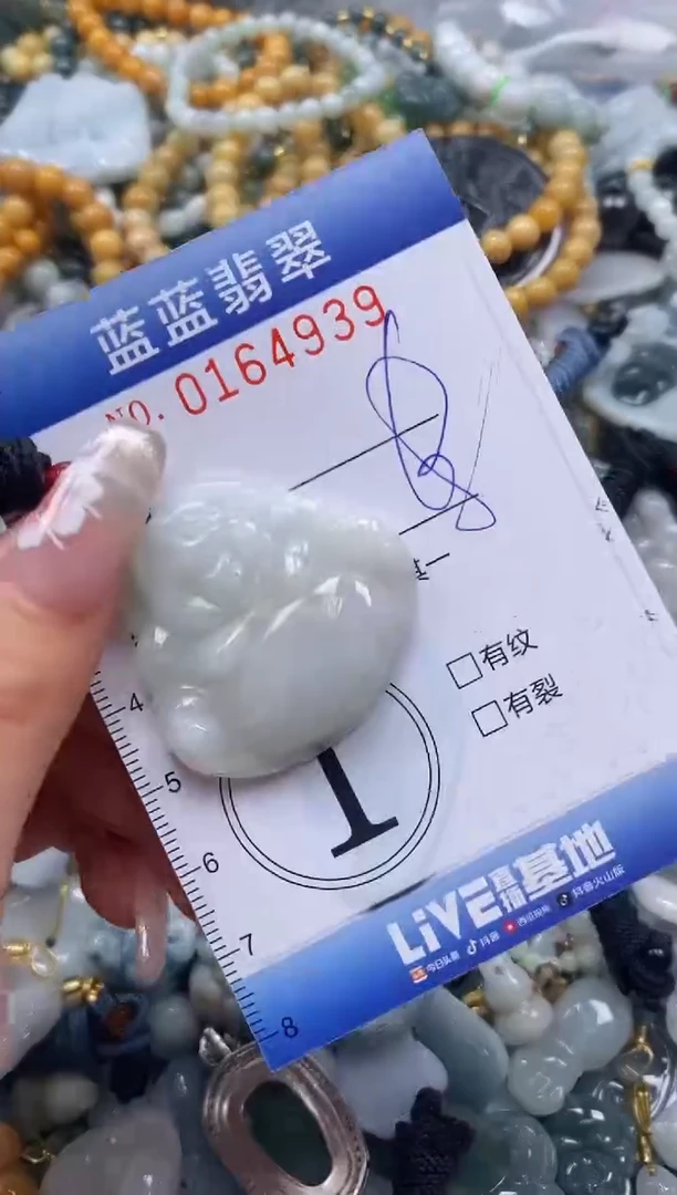 【闪购商品】翡翠颈饰未镶嵌闪购0164939