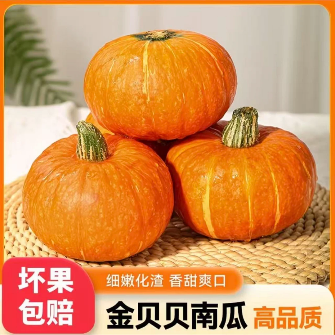 正宗金贝贝南瓜4.5斤粉糯香甜板栗味当季新鲜宝宝辅食小南瓜商品图