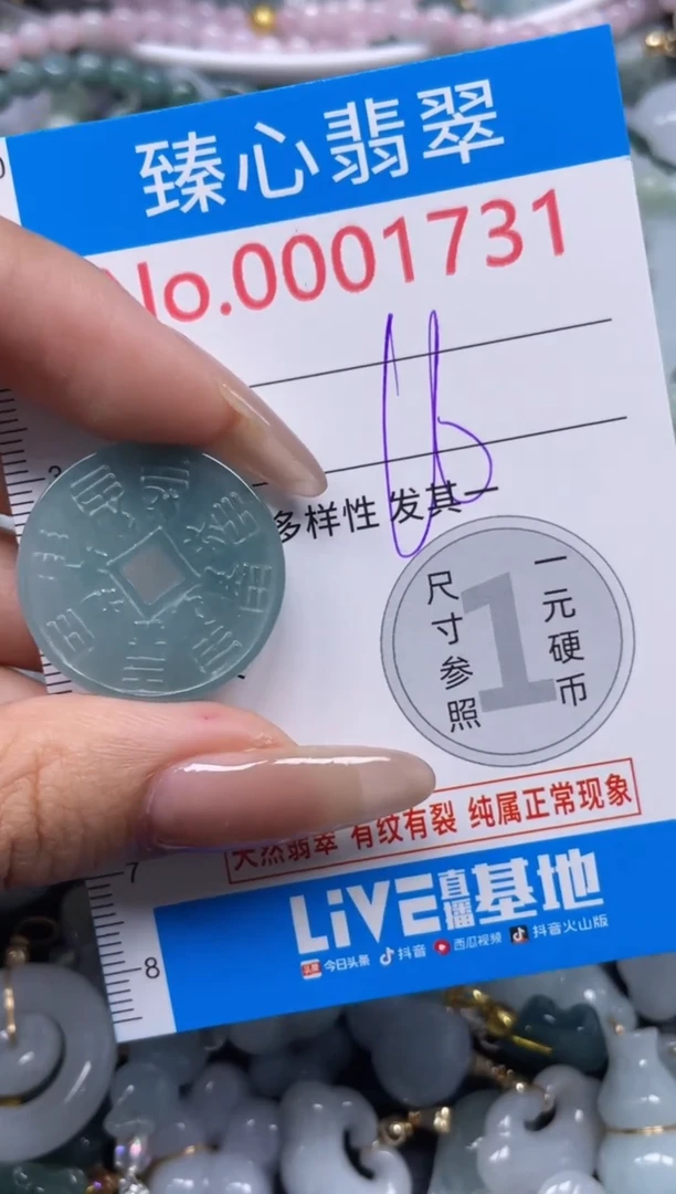 颈饰未镶嵌翡翠1731