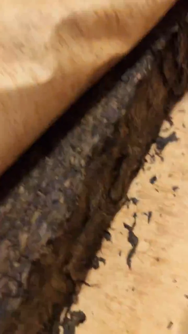 高马二溪/2019年 盛世 茯砖茶 2.58kg