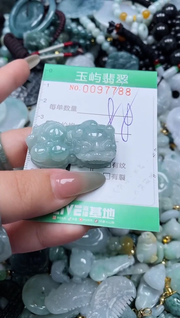 【闪购商品】翡翠未镶嵌颈饰闪购0097788