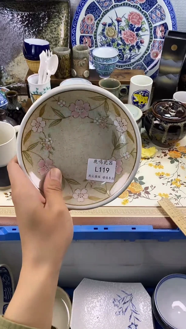 瓷片兜****️     l119