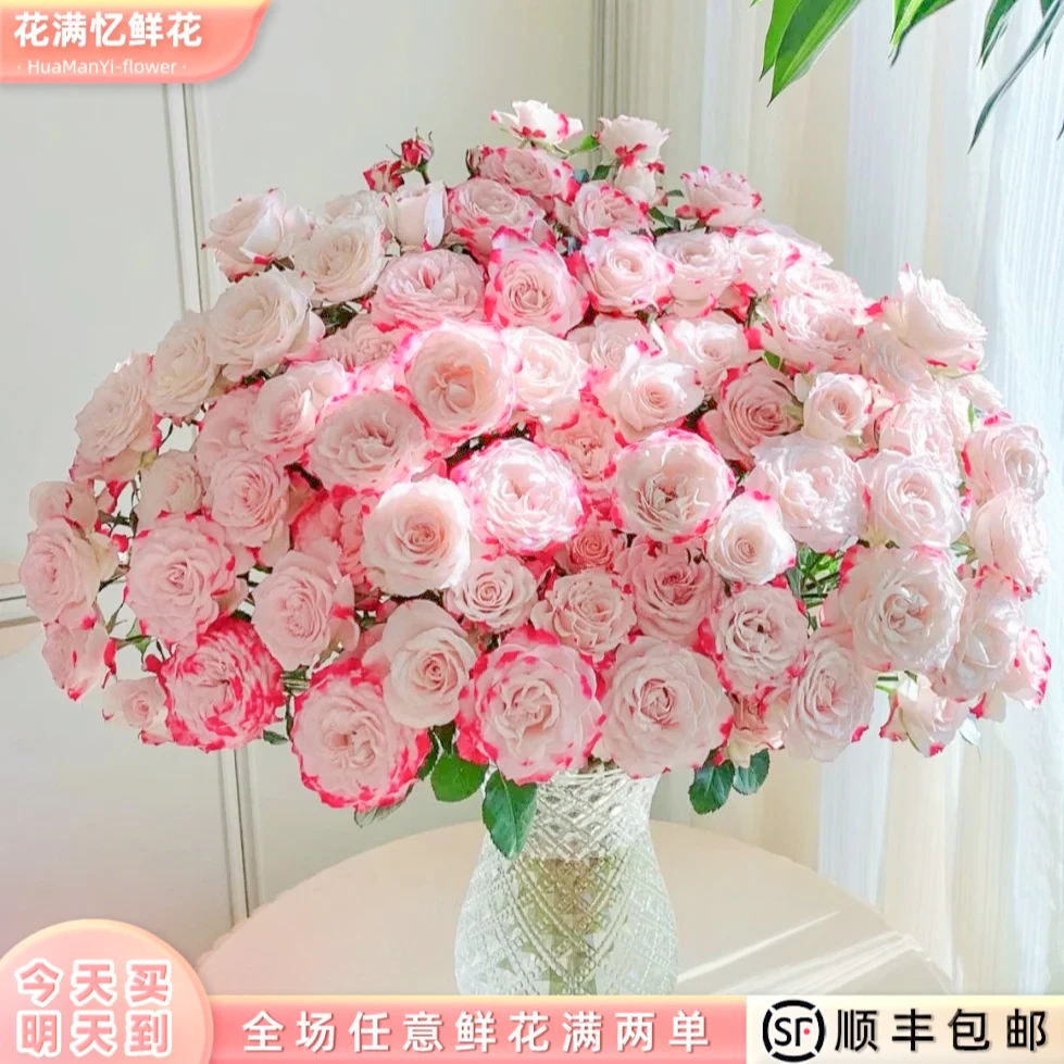 次日达 -【折射玫瑰】5枝多头玫瑰鲜花鲜切花家居优选批发任意两单升级顺丰包邮三单送随机花瓶今天拍明天到98