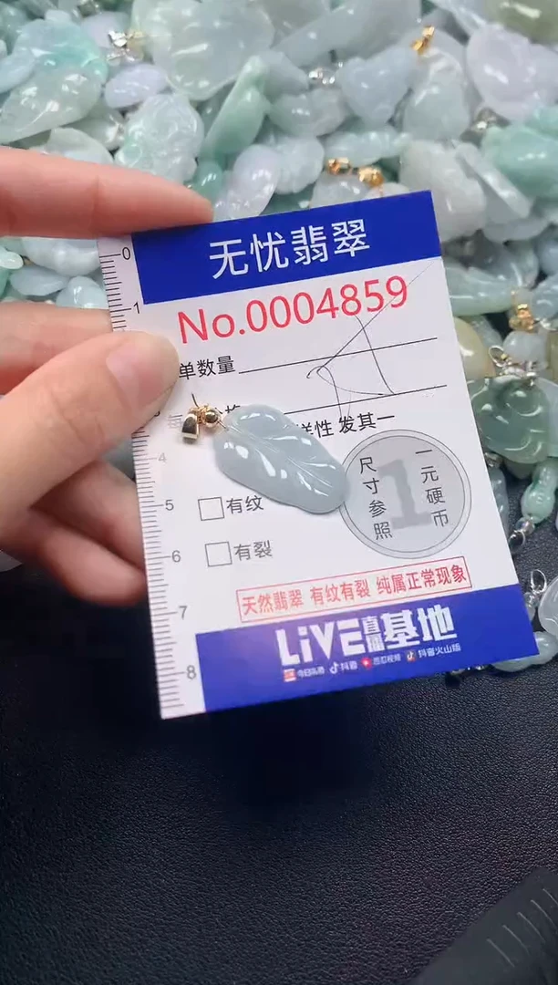 吊坠(不含链)未镶嵌翡翠4859