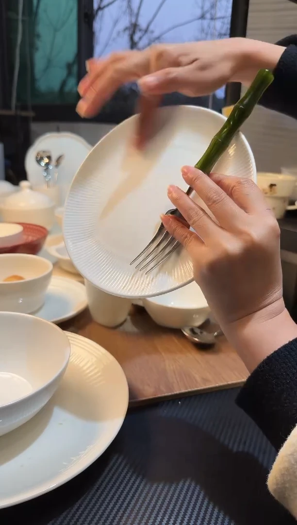 陶瓷8英寸飞舞线条盘子不带勺叉MC