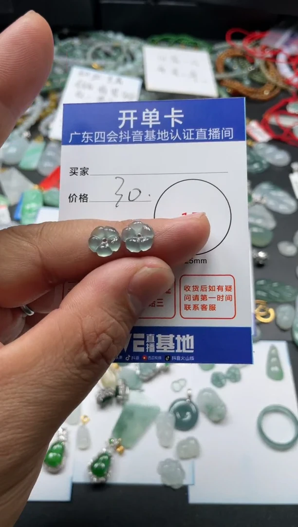 【闪购商品】翡翠颈饰未镶嵌挂件