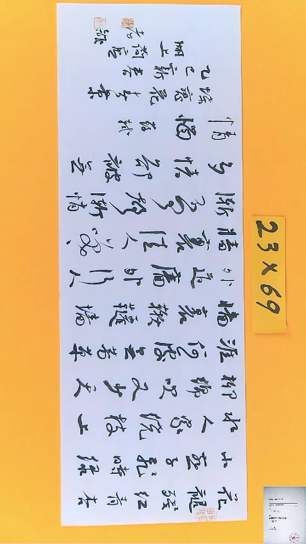 【闪购商品】书法江孝龙书法作品蝶恋花23*69
