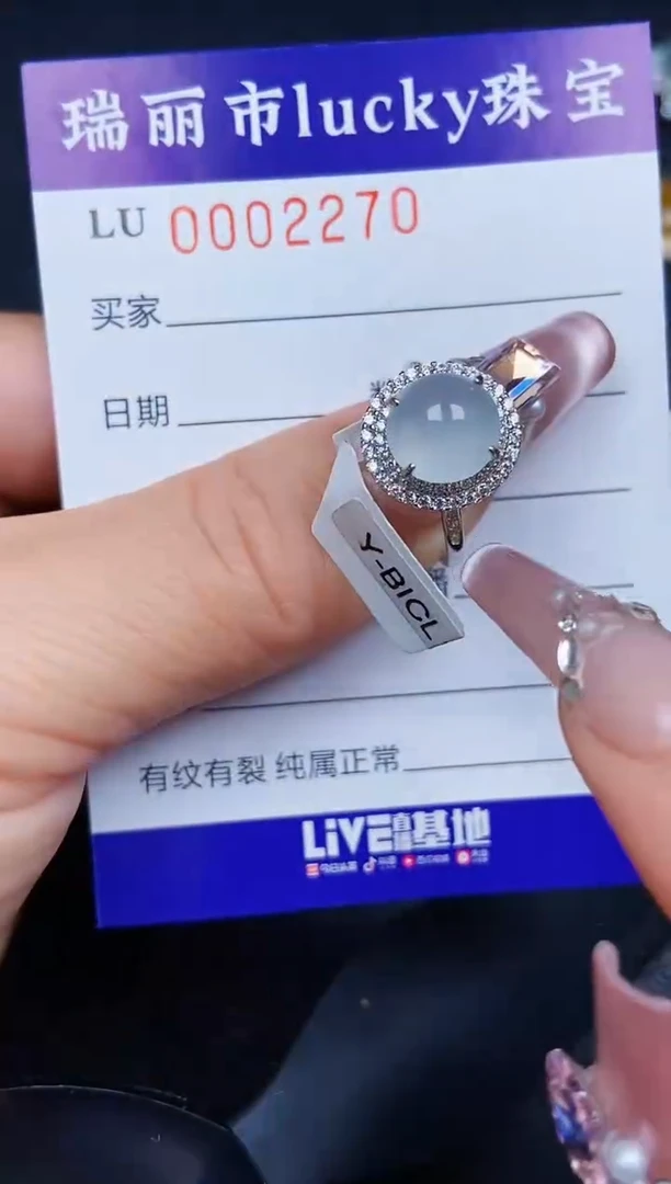 翡翠银S925镶嵌颈饰2270
