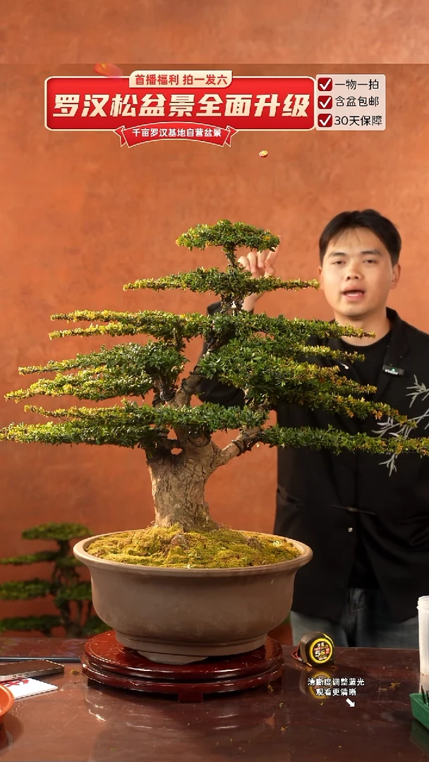 无花朵000000000000000