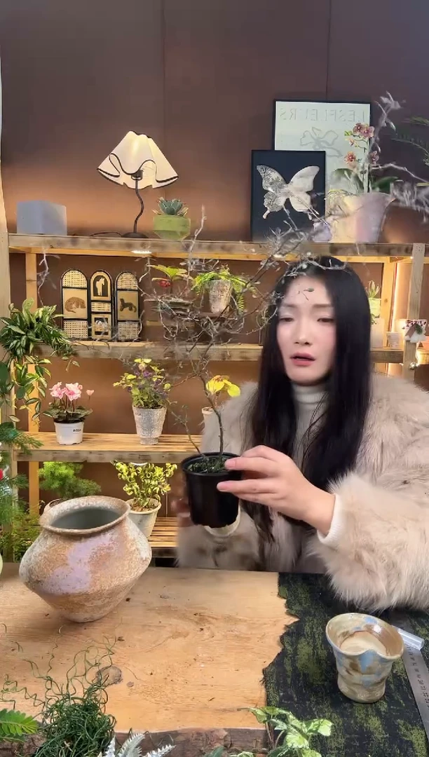 无花朵020高登铁丝网加盆一套