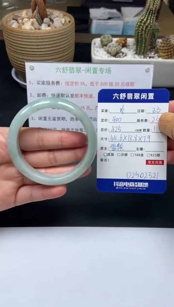 【闪购商品】翡翠手镯未镶嵌D2502321