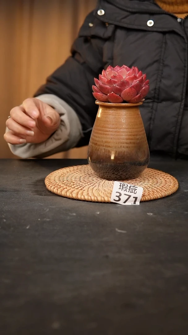 【闪购商品】瓷片371瑕疵款，，口5