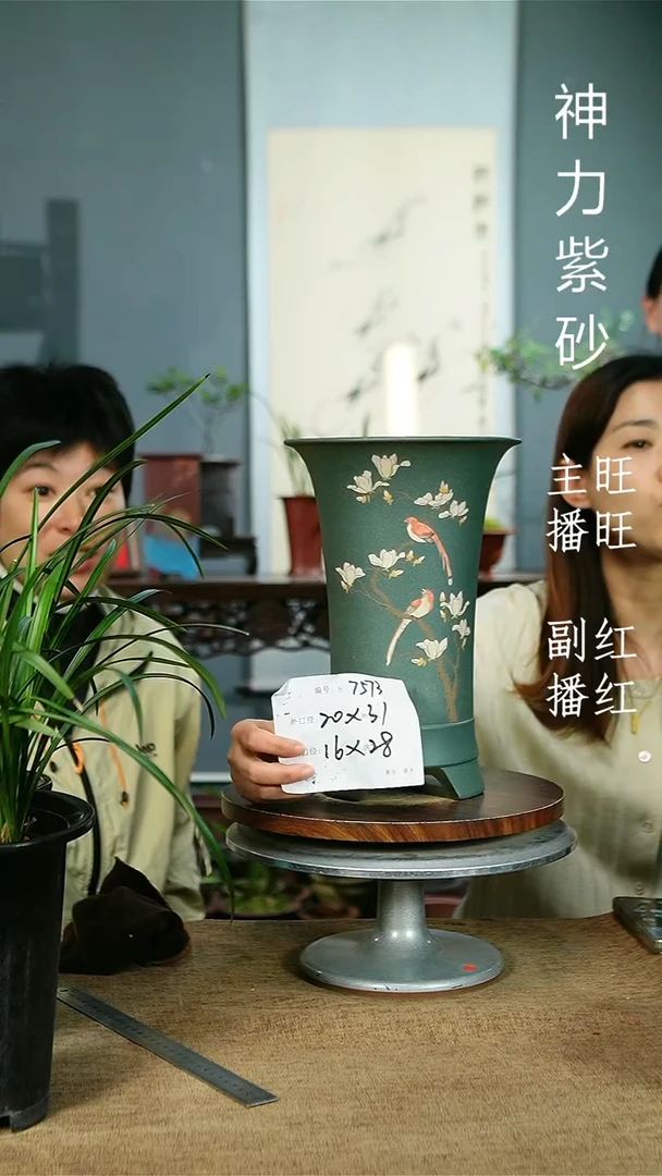完全开放花卉园艺7573