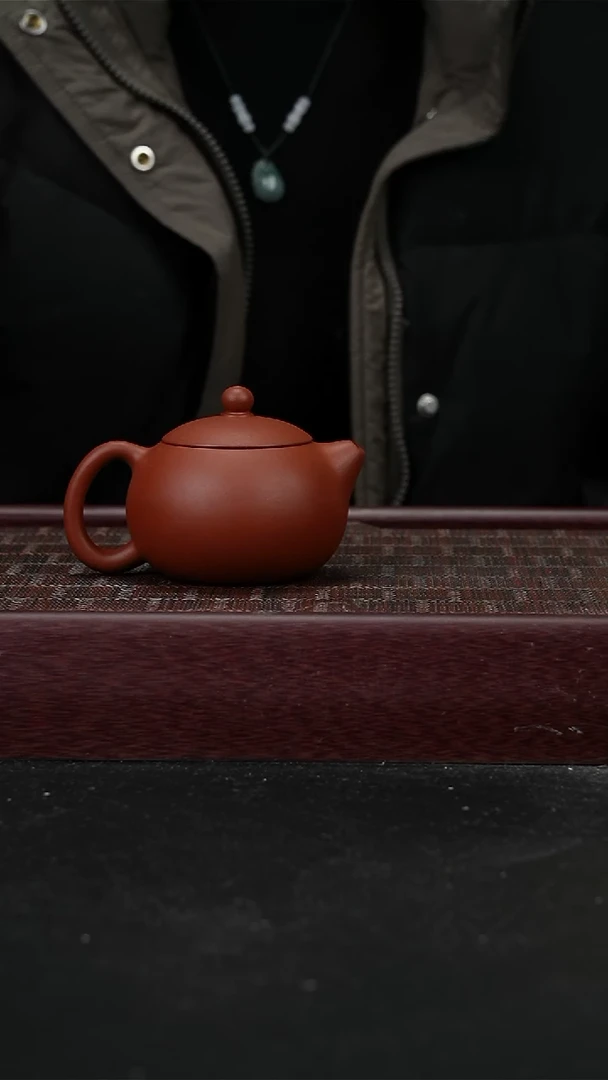 红皮龙西施