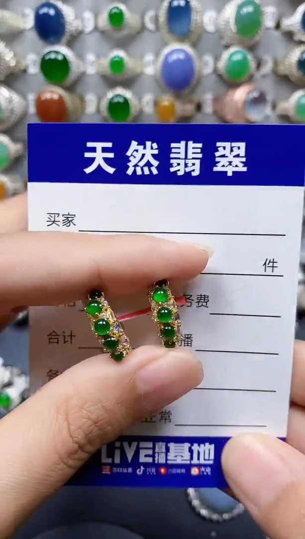 翡翠银S925镶嵌耳饰304