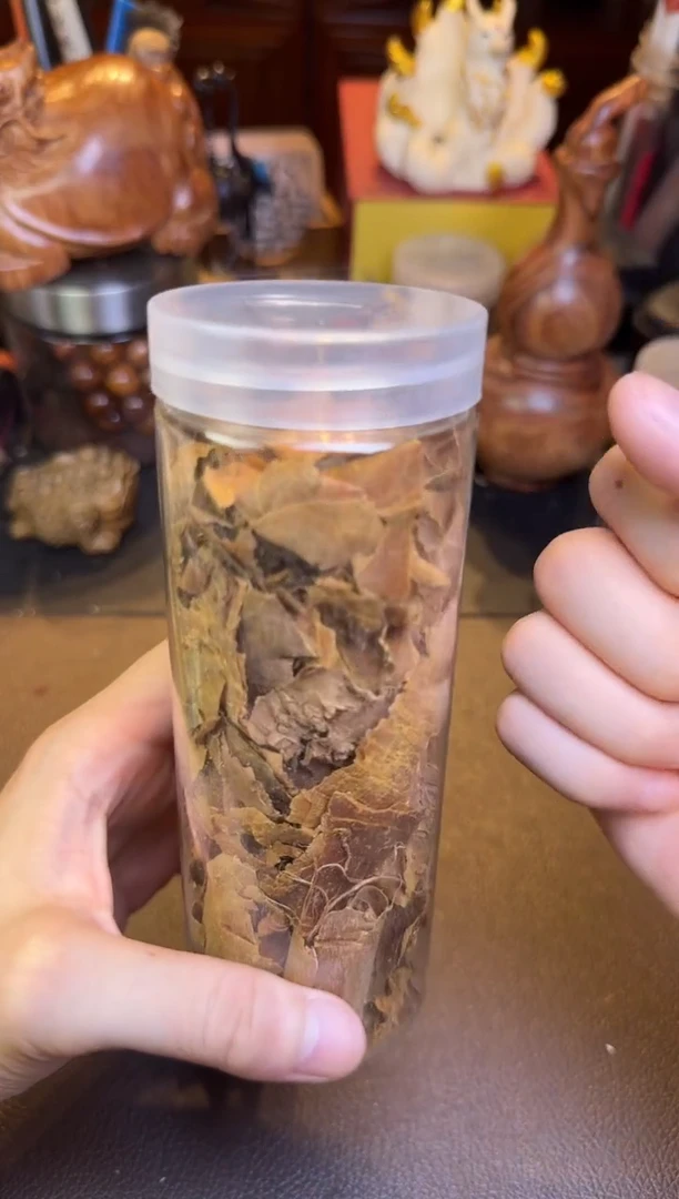 木黄药膜多样性发其一