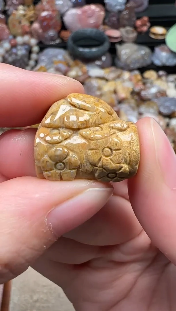 颈饰未镶嵌硅化珊瑚（珊瑚玉）748