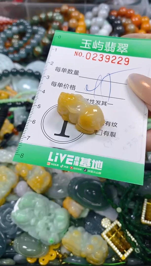 颈饰未镶嵌翡翠闪购0239229