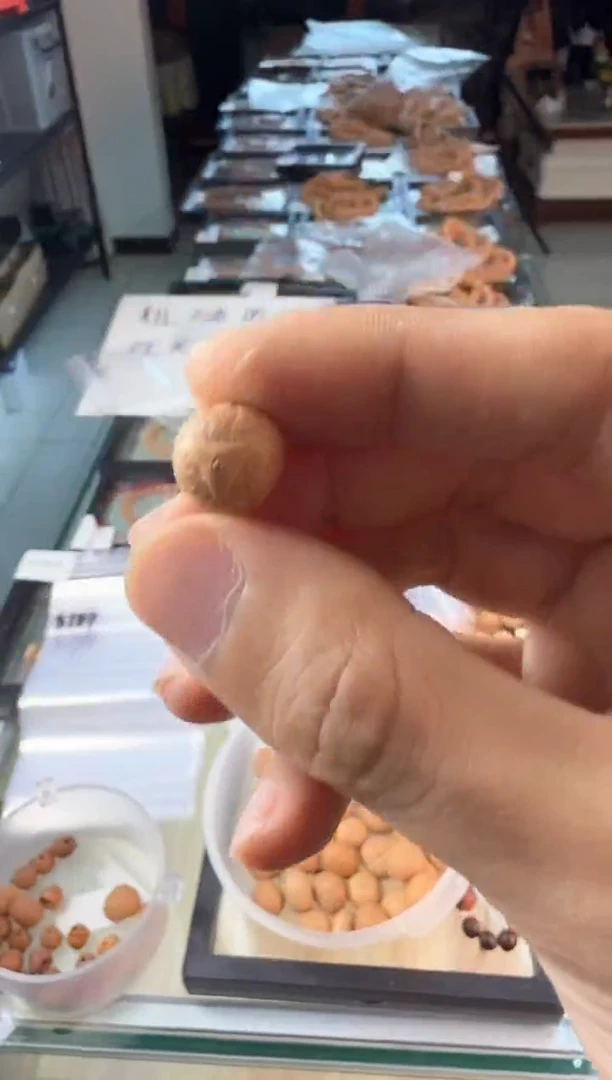 吊坠凤眼菩提3787 顶珠