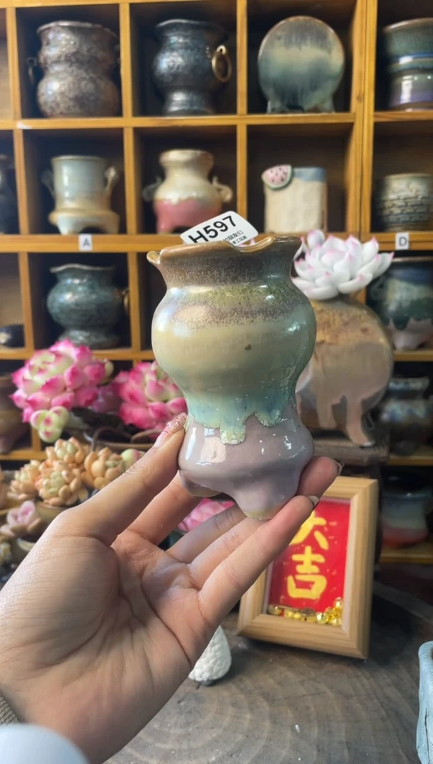 597内口5【多肉花盆多肉盆】