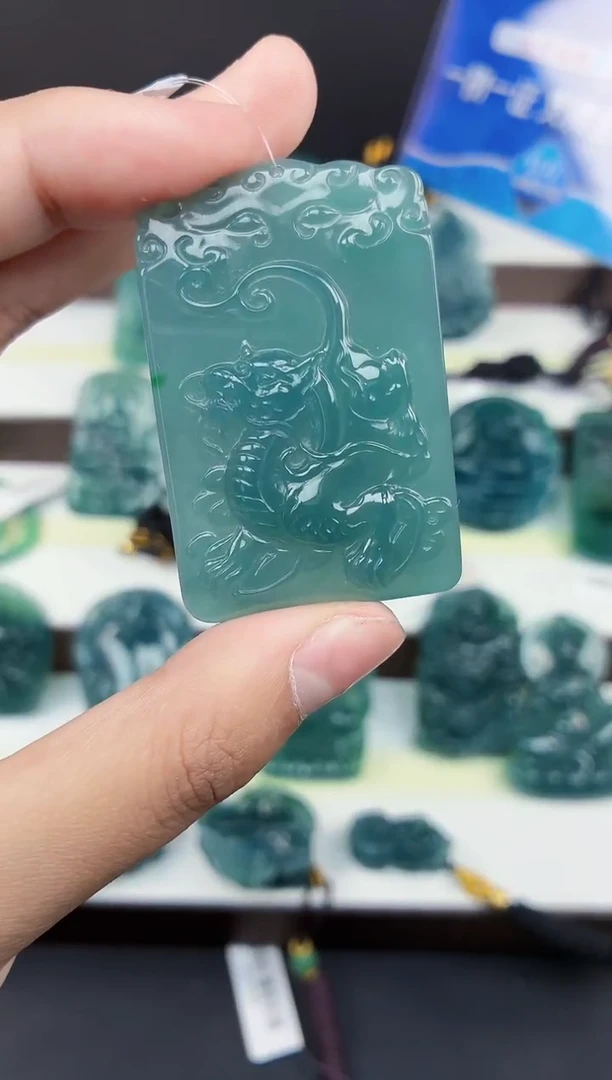 颈饰未镶嵌翡翠DLZ25120943