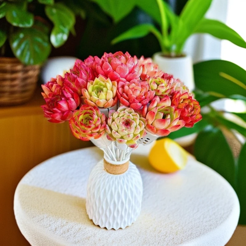 无土多肉花束组合(20支