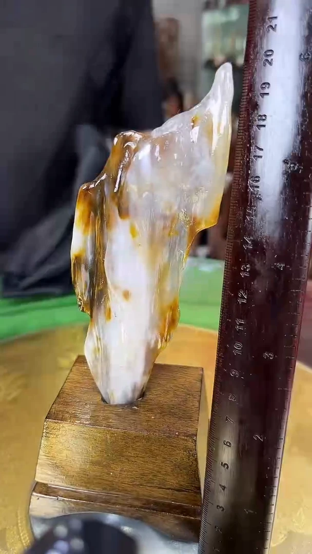 硅化玉珠宝奇石未镶嵌缅甸天然树化玉摆件